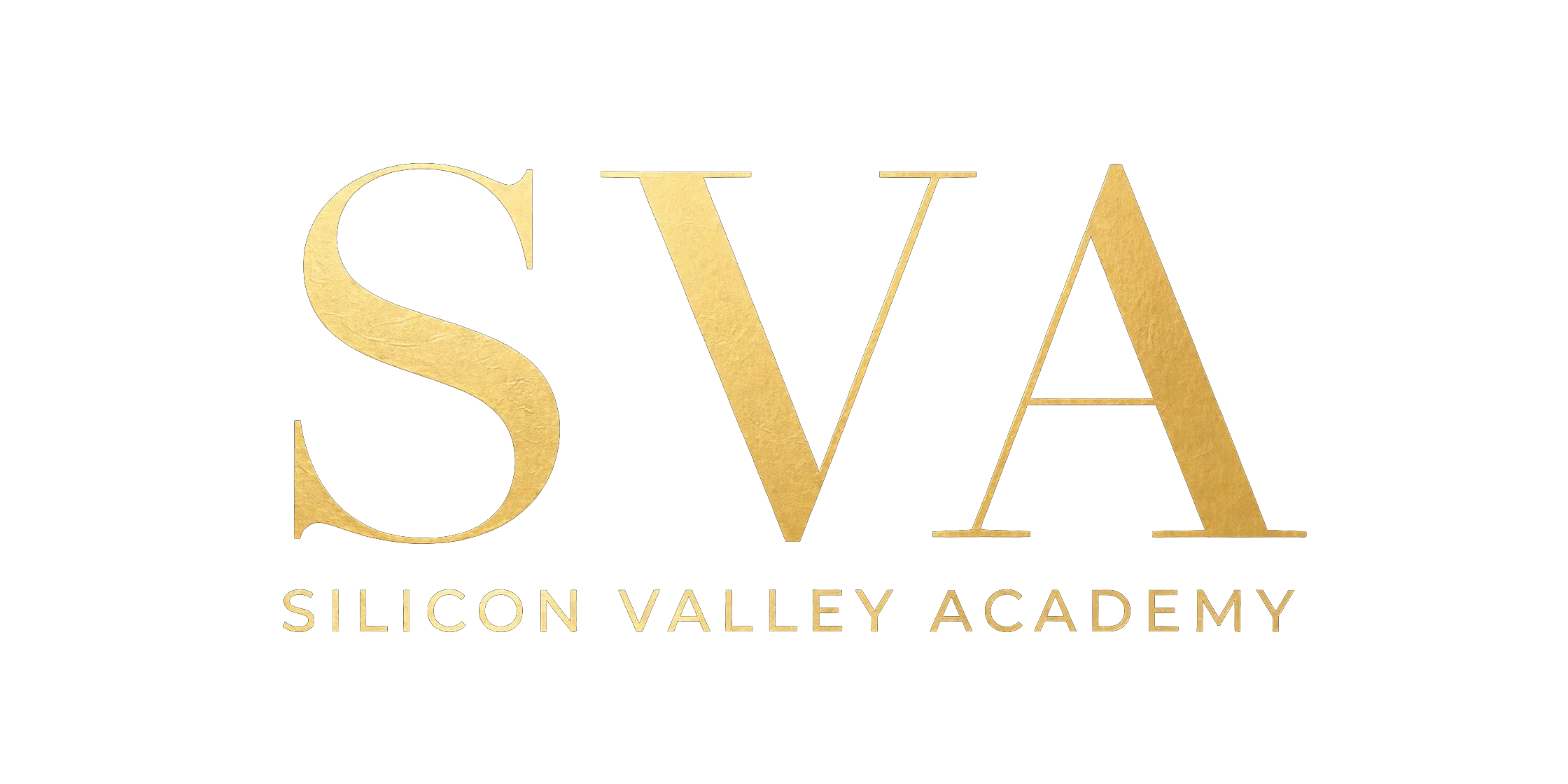 SVA — Silicon Valley Academy